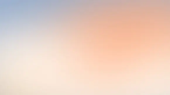 SIA Cazino Cazinou Suport